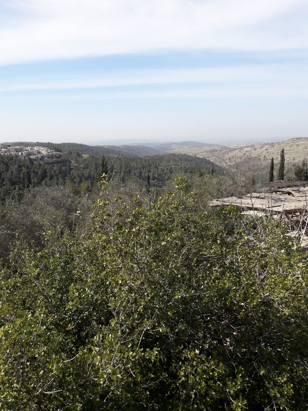 Een foto van de heuvelen van Judea