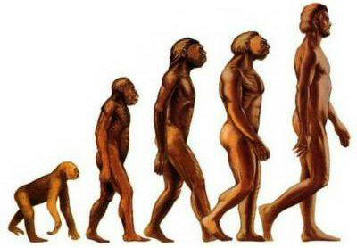 Darwins evolutie theorie