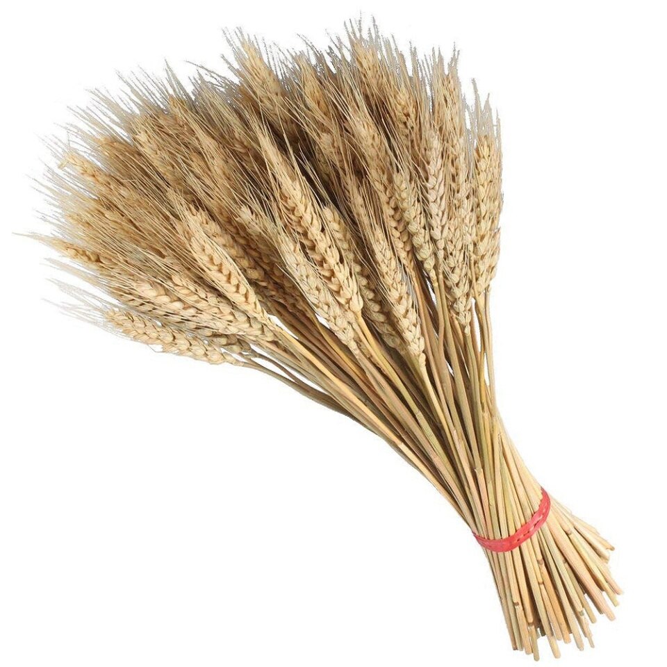 Een bundel tarwe